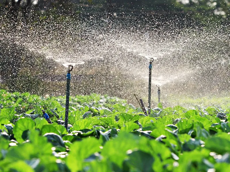 spray irrigation system sprinkler Nitrile Fuel Hose