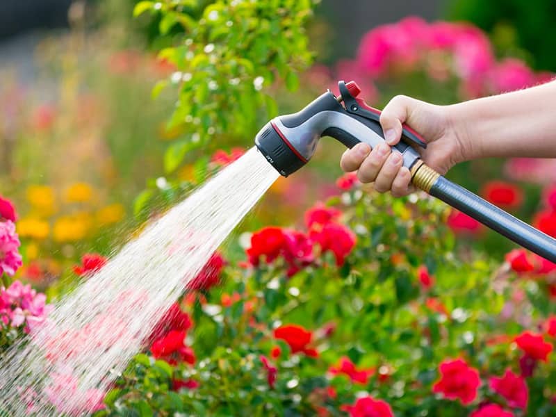 watering-flowers-shutterstock_403068514 Nitrile Fuel Hose